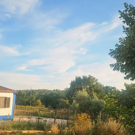 Quinta Dos Rodrigues