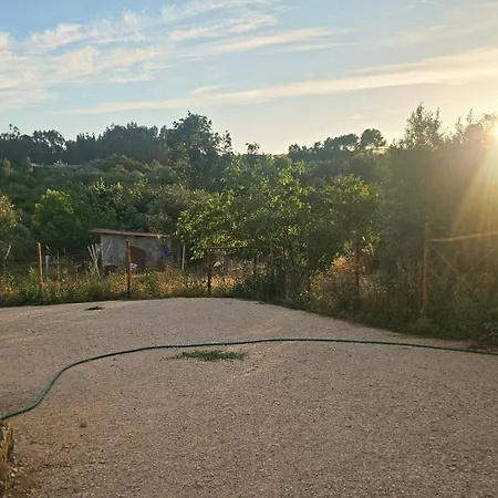 Quinta Dos Rodrigues Ferienhaus Ferreira do Zêzere